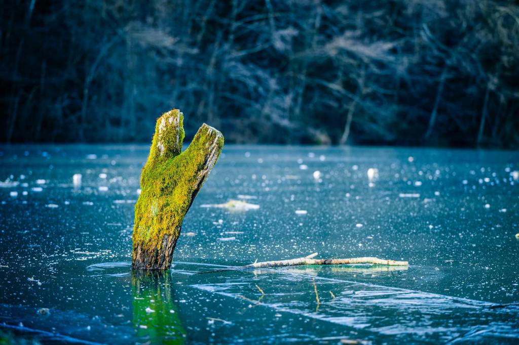 The Silence That&nbsp;Divides