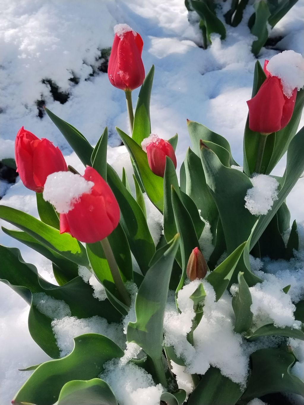 What I Think About When I’m Running